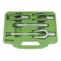 SET EXTRACTOARE PENTRU PIVOTI (ROTULE)