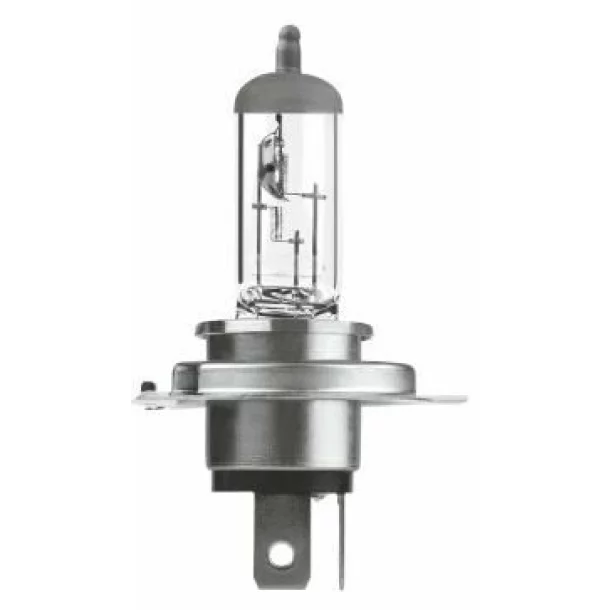 NLX472   Bec, far principal H4