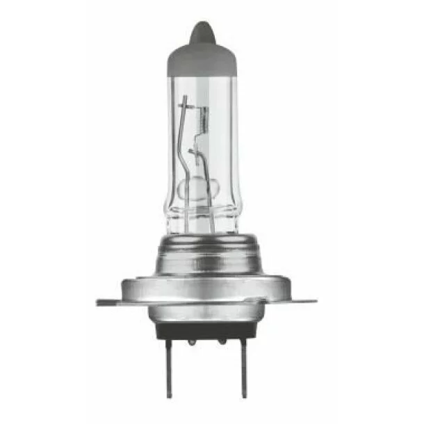 NLX499   Bec, far principal H7