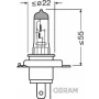 OSR64193-   Bec, far principal H4