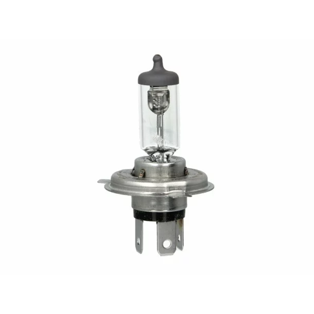 OSR64193-   Bec, far principal H4