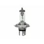 OSR64193-   Bec, far principal H4