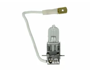 OSR64156-   Bec, far principalH3 24V