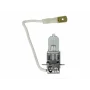 OSR64156-   Bec, far principalH3 24V