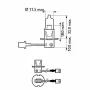 PHI 12336LLECOC1   Bec, far faza lunga H3