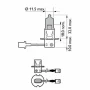 PHI 12336WVUB1   Bec, far faza lunga H3