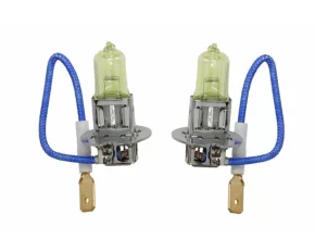 PTZRT3-DUO   Bec, far principal H3 2PSC