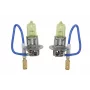 PTZRT3-DUO   Bec, far principal H3 2PSC