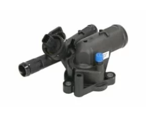 Termostat,lichid racire