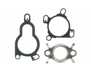 Set garnitura sistem EGR