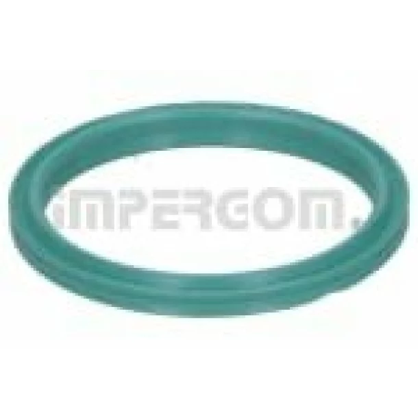 Inel etansare, furtun aer supraalimentare   RENAULT MASTER III  2.3 dCi