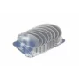 Set cuzineti  biela   RENAULT MASTER III  2.3 dCi