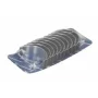 Set rulemt arbore cotit  RENAULT MASTER III  2.3 dCi