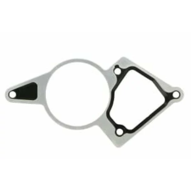 Garnitura, pompa vacuum PEUGEOT BOXER CITROEN JUMPER 2.2 HDI