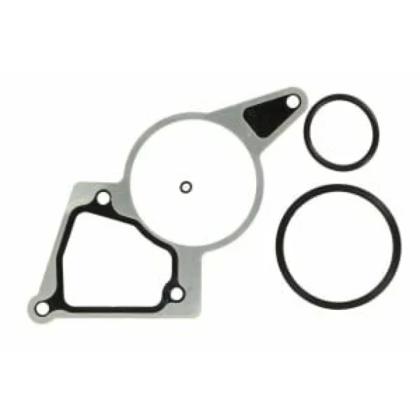 Set etansare, pompa vacuum PEUGEOT BOXER CITROEN JUMPER 2.2 HDI