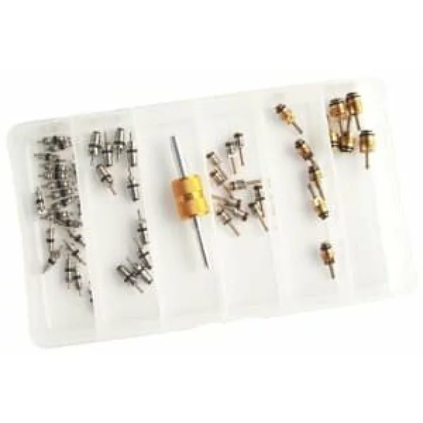 PROFITOOL - Set valve pentru sistemele de aer conditionat, supape pt R12a si R134A. Contine 51 piese