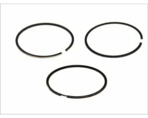 Set segmenti piston SPRINTER 311 CDI