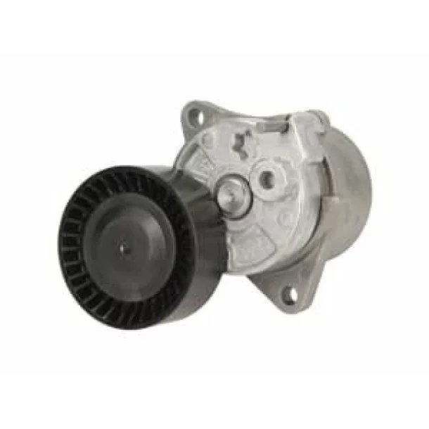 Intinzator,curea transmisie SPRINTER 311 CDI