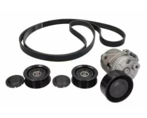 Set curea transmisie cu caneluri SPRINTER 311 CDI