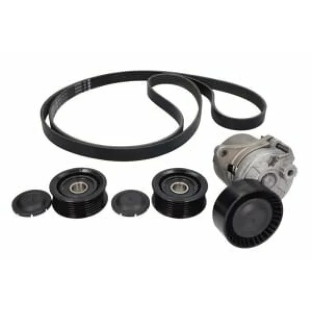 Set curea transmisie cu caneluri SPRINTER 311 CDI