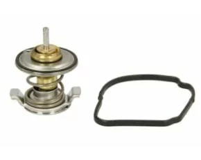 Termostat,lichid racire SPRINTER  311 CDI