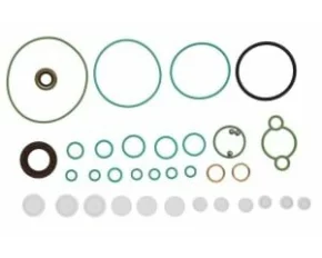Set garnituri, pompa injectie SPRINTER 311 CDI