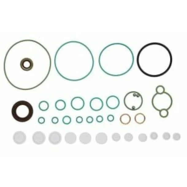 Set garnituri, pompa injectie SPRINTER 311 CDI