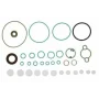 Set garnituri, pompa injectie SPRINTER 311 CDI