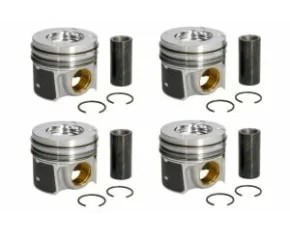 Piston TRANZIT CUSTOM 2.0